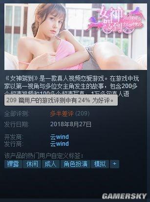 国产成人在线看
