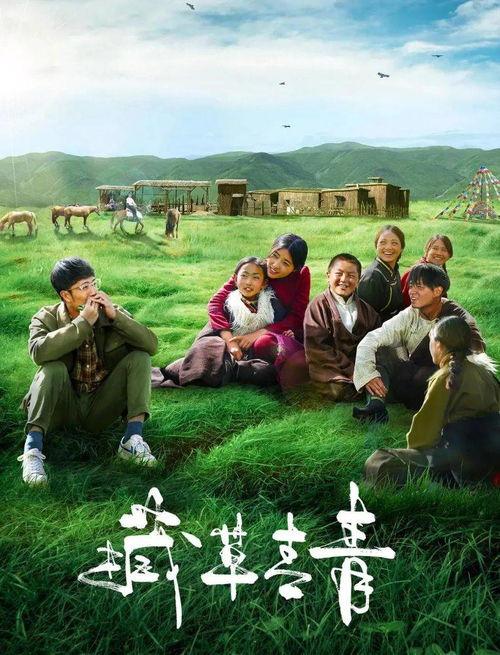 青青在线观看国产,青青在线带你领略国产影视魅力
