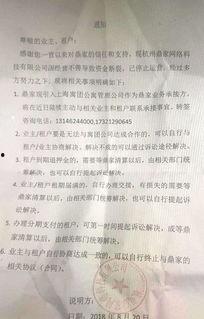 浮力影院第一页国产,浮力影院引领国内观影新潮流