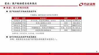 国产25页,揭秘25页深度解析